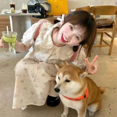 狡猾的兔小姐